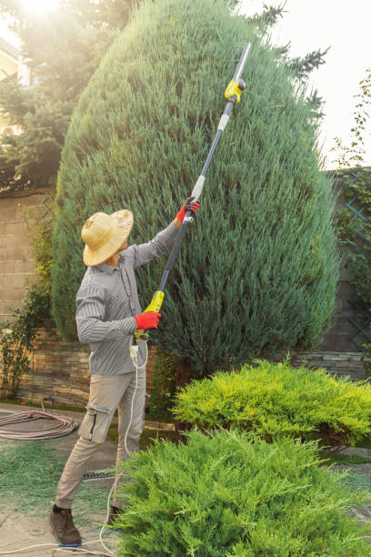 Lawn Watering Services in Hilton, NY